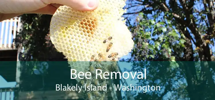 Bee Removal Blakely Island - Washington