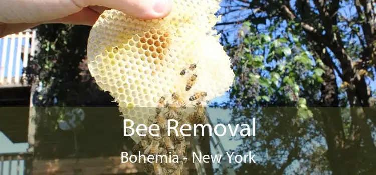 Bee Removal Bohemia - New York