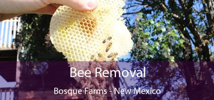 Bee Removal Bosque Farms - New Mexico