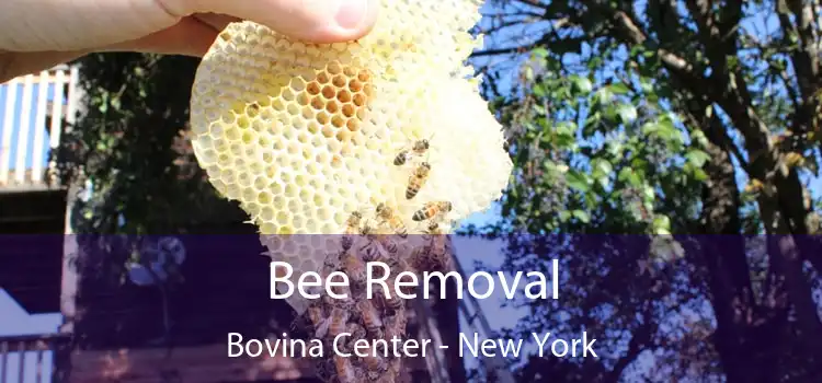 Bee Removal Bovina Center - New York