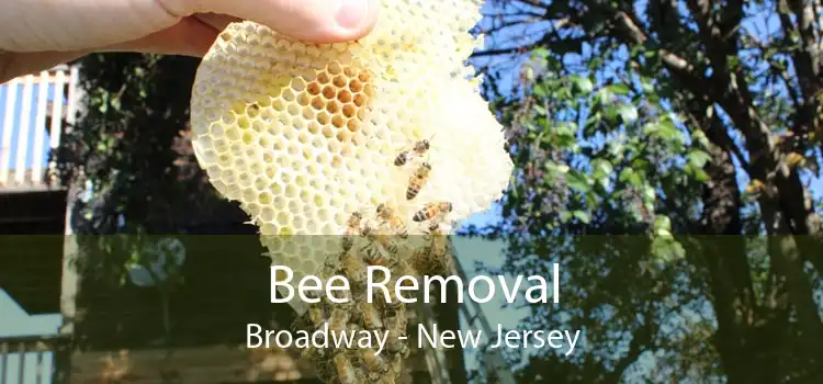 Bee Removal Broadway - New Jersey