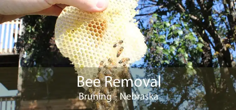 Bee Removal Bruning - Nebraska