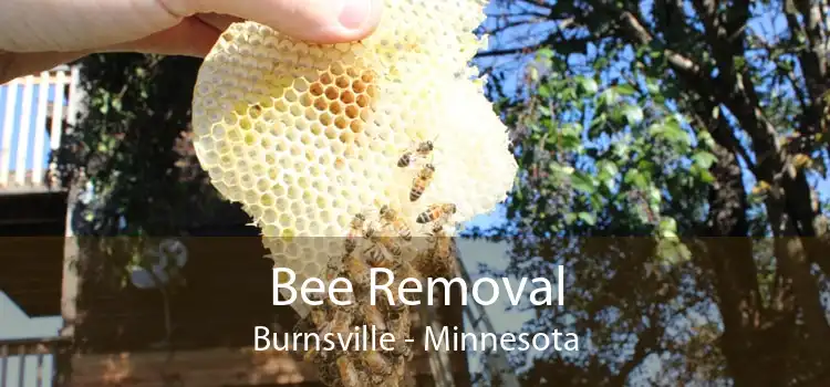 Bee Removal Burnsville - Minnesota