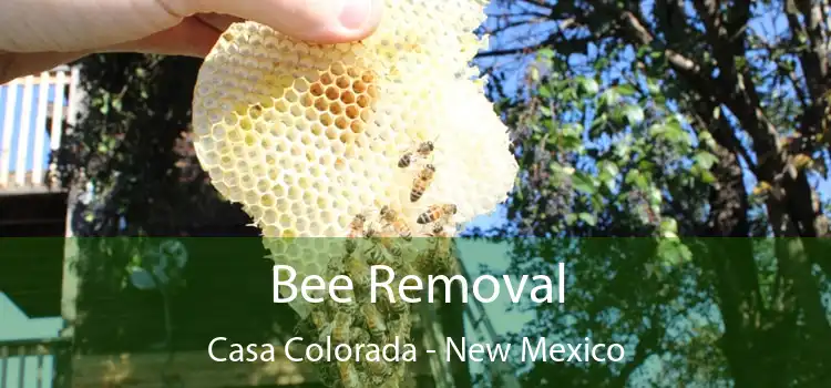 Bee Removal Casa Colorada - New Mexico