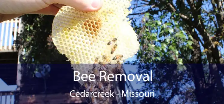 Bee Removal Cedarcreek - Missouri