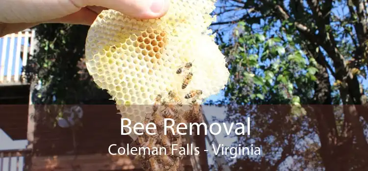 Bee Removal Coleman Falls - Virginia