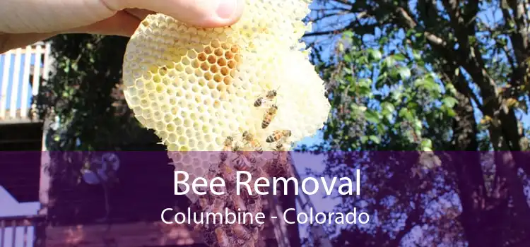 Bee Removal Columbine - Colorado