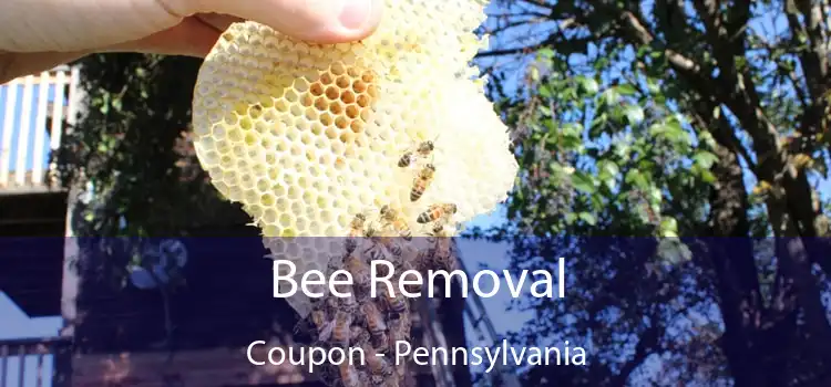 Bee Removal Coupon - Pennsylvania