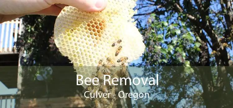 Bee Removal Culver - Oregon