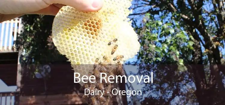 Bee Removal Dairy - Oregon