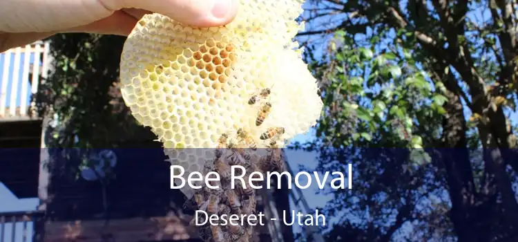 Bee Removal Deseret - Utah