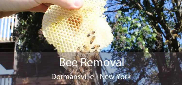 Bee Removal Dormansville - New York