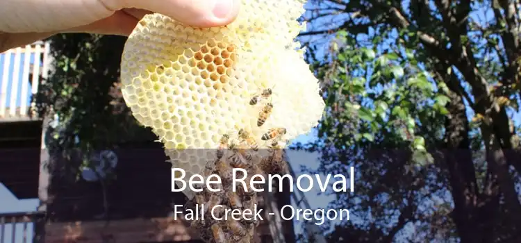 Bee Removal Fall Creek - Oregon