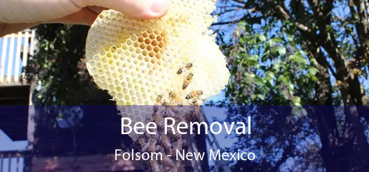 Bee Removal Folsom - New Mexico