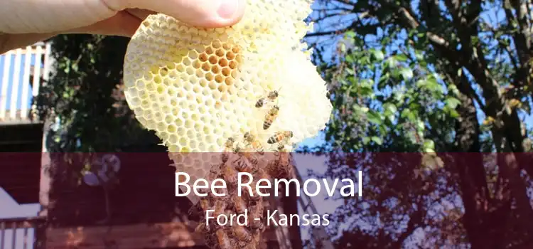 Bee Removal Ford - Kansas