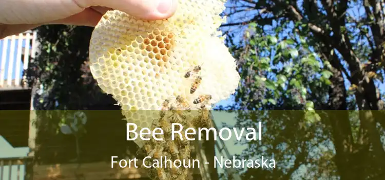 Bee Removal Fort Calhoun - Nebraska