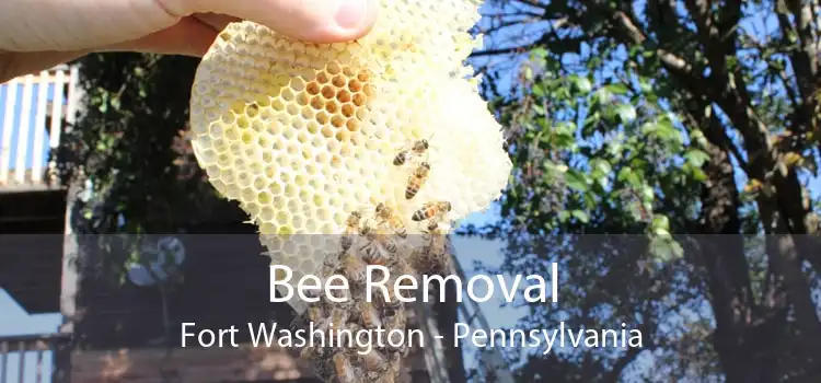 Bee Removal Fort Washington - Pennsylvania