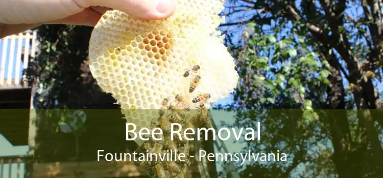 Bee Removal Fountainville - Pennsylvania