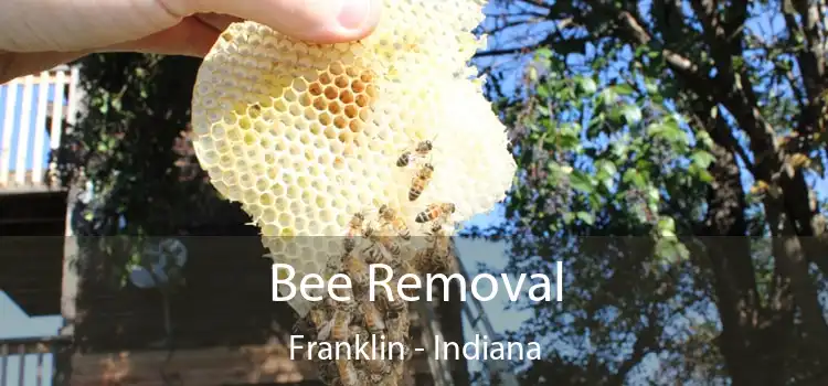 Bee Removal Franklin - Indiana