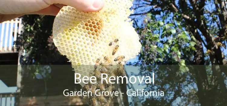 Bee Removal Garden Grove - California