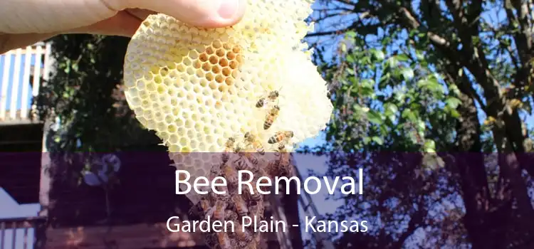 Bee Removal Garden Plain - Kansas