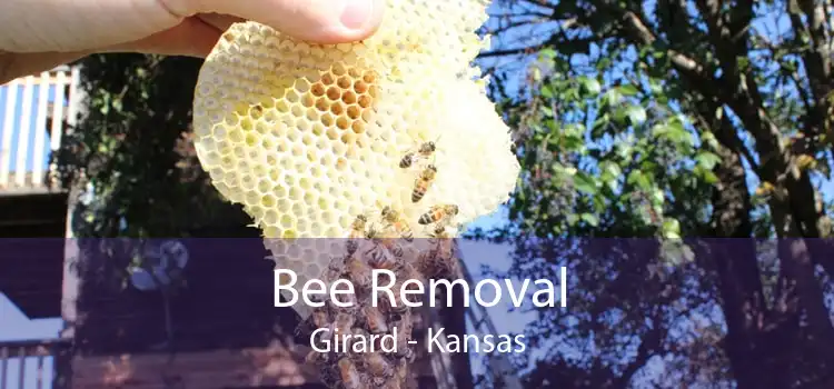 Bee Removal Girard - Kansas