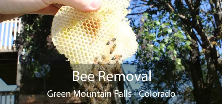 Bee Removal Green Mountain Falls - Colorado