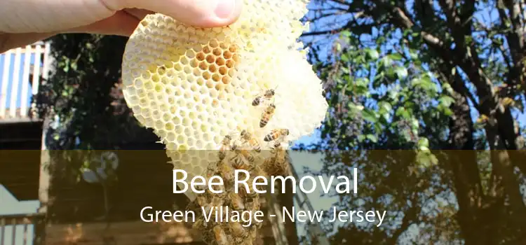 Bee Removal Green Village - New Jersey