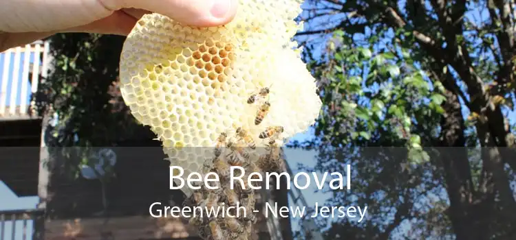 Bee Removal Greenwich - New Jersey