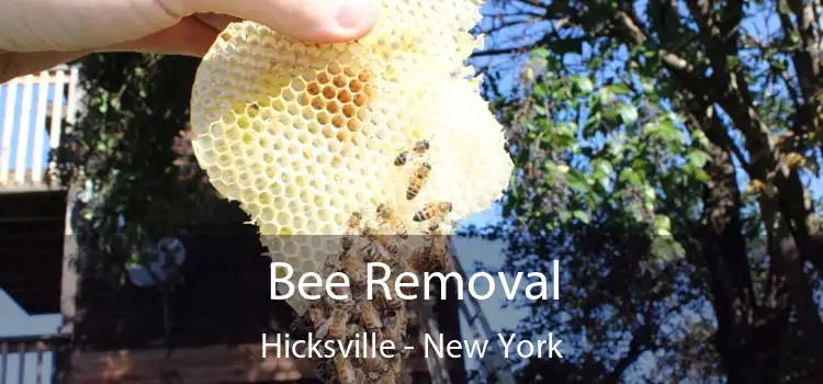 Bee Removal Hicksville - New York