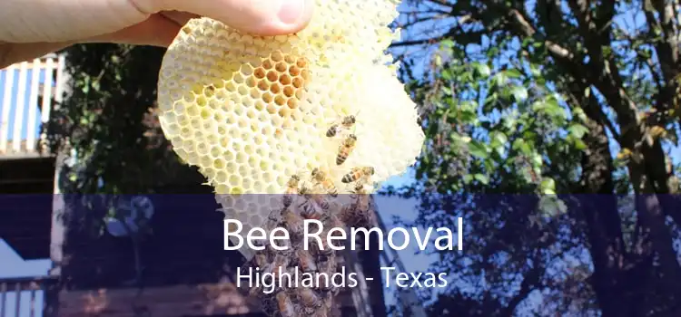 Bee Removal Highlands - Texas