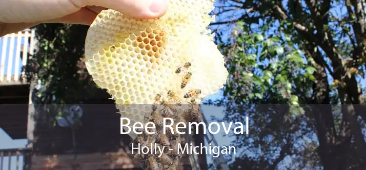 Bee Removal Holly - Michigan