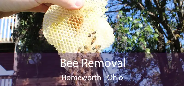 Bee Removal Homeworth - Ohio