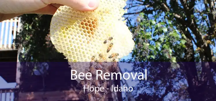 Bee Removal Hope - Idaho
