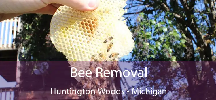 Bee Removal Huntington Woods - Michigan