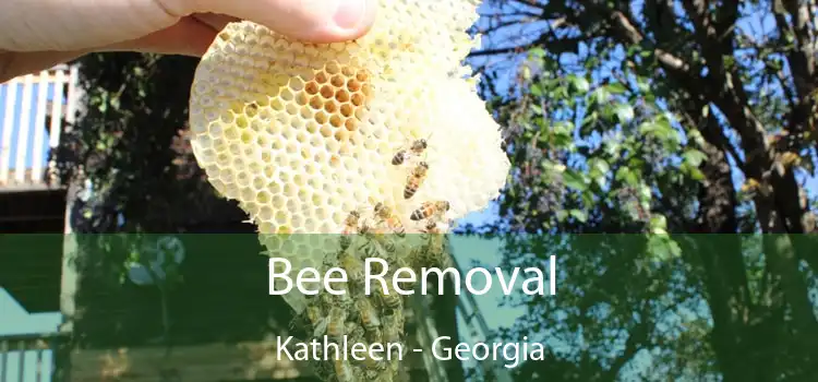 Bee Removal Kathleen - Georgia