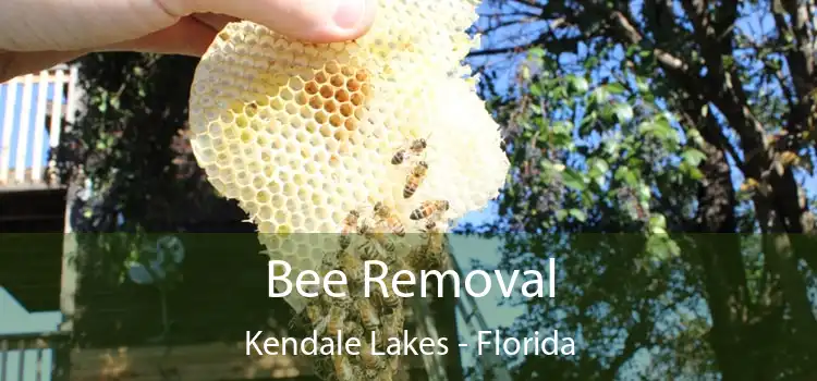 Bee Removal Kendale Lakes - Florida