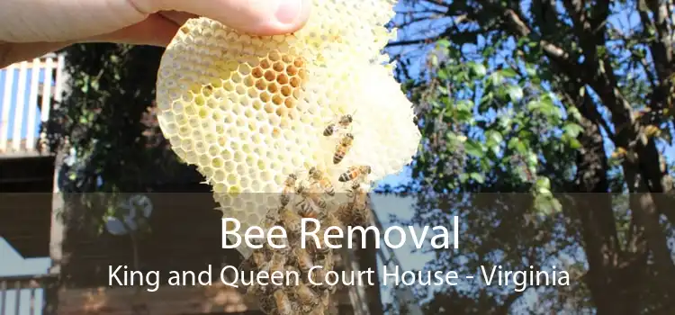 Bee Removal King and Queen Court House - Virginia