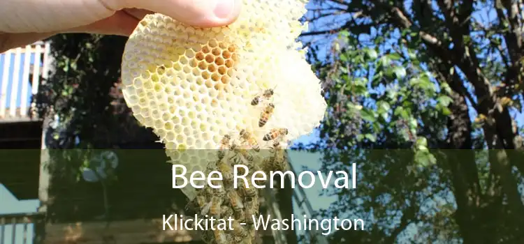 Bee Removal Klickitat - Washington