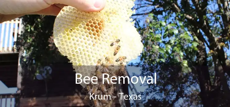 Bee Removal Krum - Texas