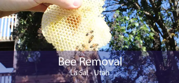 Bee Removal La Sal - Utah