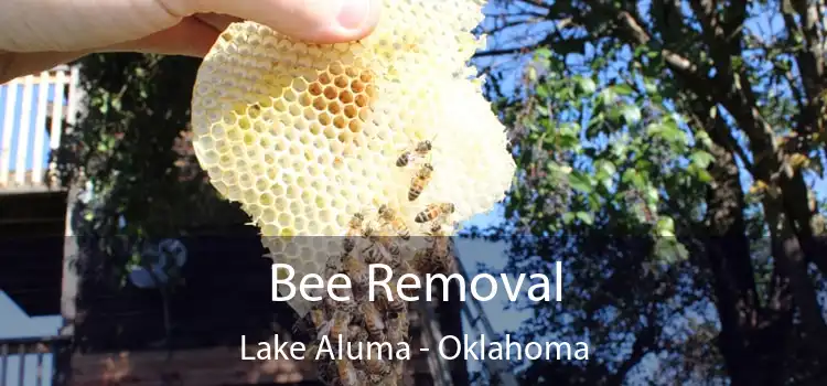 Bee Removal Lake Aluma - Oklahoma