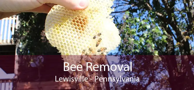 Bee Removal Lewisville - Pennsylvania