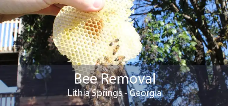 Bee Removal Lithia Springs - Georgia