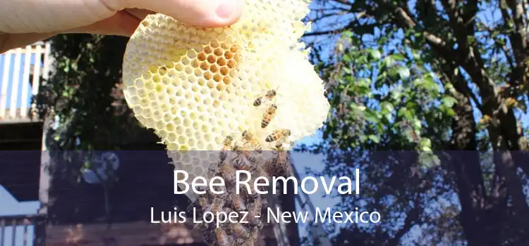 Bee Removal Luis Lopez - New Mexico