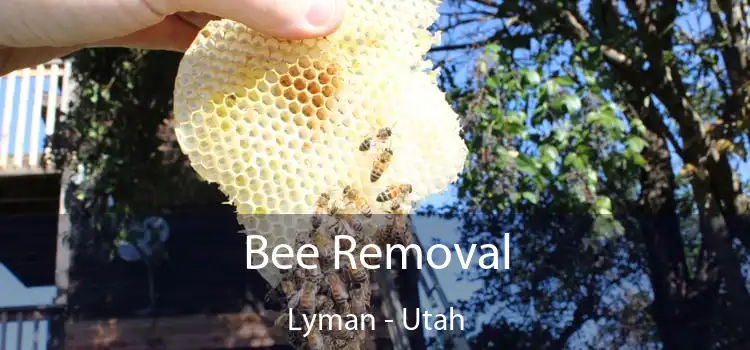 Bee Removal Lyman - Utah