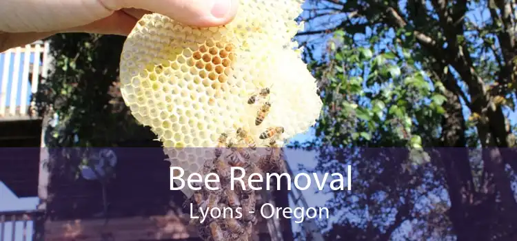 Bee Removal Lyons - Oregon