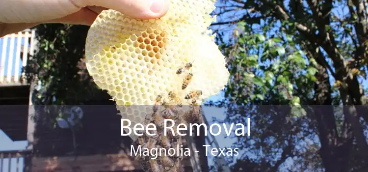 Bee Removal Magnolia - Texas