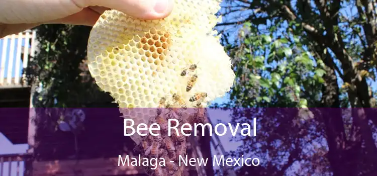 Bee Removal Malaga - New Mexico