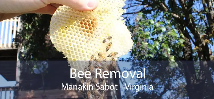 Bee Removal Manakin Sabot - Virginia